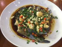 -全乐鱼馆·淳牌有机鱼直营店
