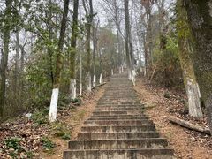 -云碧峰国家森林公园