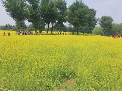 -长白岛森林公园