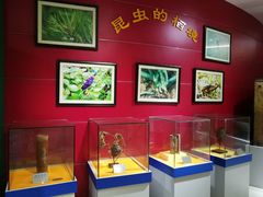 -上海昆虫博物馆