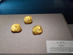 -上海中国航海博物馆