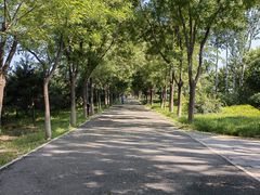 -东郊湿地公园