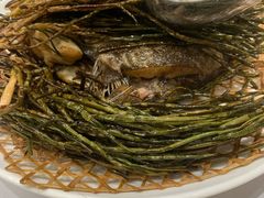 -新吉士·上海菜(浦东LCM置汇旭辉店)