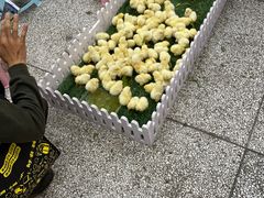 -沃尔玛超市(武侯店)