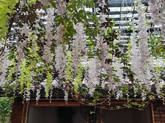-阿鹏故事云南野生菌火锅(人民路店)