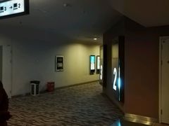 -幸福蓝海国际影城(南京商厦店)