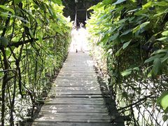 -南江大峡谷