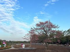 -海珠湖公园