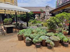 -山菌美食苑(振兴路店)