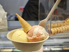 -极拉图·现制冰淇淋(梅溪湖新天地步步高店)