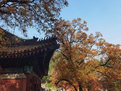 -香山公园