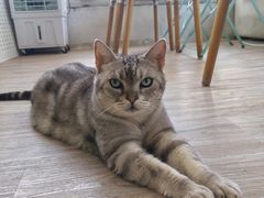 -小时光咖啡馆(北锣鼓巷店)