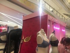 -Victoria's Secret(苏州中心全品类店)