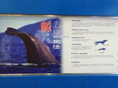 -上海海洋大学鱼文化博物馆(军工路校区)