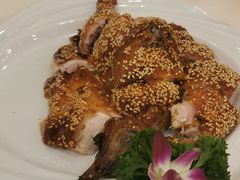 -益利大酒楼(井岸店)