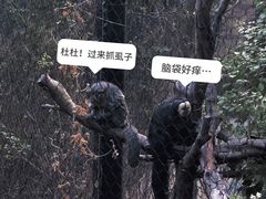 -红山森林动物园