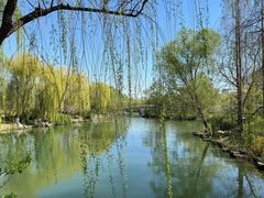 -济南大明湖景区