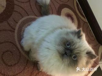女人更加需要实实在在的安全感