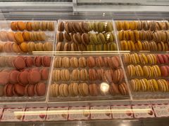 -Pierre Marcolini(德基广场店)