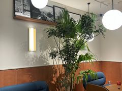 -Wagas沃歌斯(枫蓝国际店)