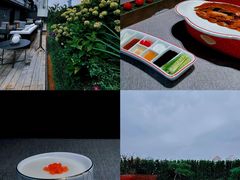 -秀儿四九城·新京菜(亚运村鸟巢店)