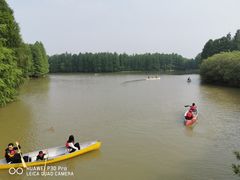 -上海海湾国家森林公园