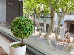 -笃笃笃糖粥(十全街店)
