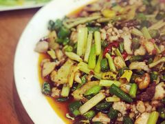 -功夫兔