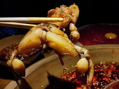 -同蛙阁美蛙鱼头火锅