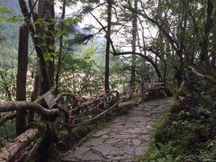 景点-燕子沟风景区