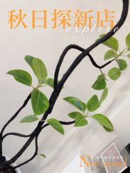 -VE小颜皮肤管理&科学美肤中心