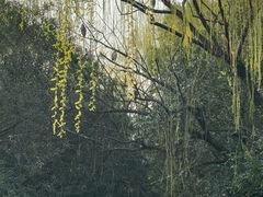 -黄兴公园