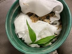 -宝鸡东道花鸟鱼虫市场(吉利花园商场店)