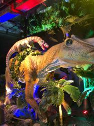 -恐龙探索乐园(磁器口店)