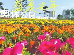 -北京奥林匹克公园