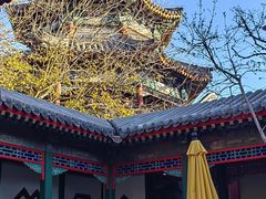 -宫事颐庭·老佛爷贵寿下午茶(颐和园店)