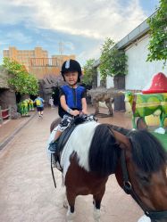 -宝燕乐园(闵行旗舰店)