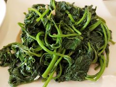 -黄埔华苑酒家(黄埔店)