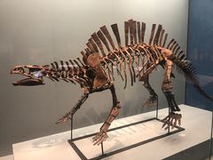 -湖南省地质博物馆