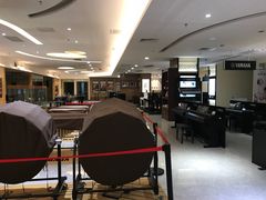 -知音艺术教育培训·钢琴培训·音乐培训(河西金鹰世界校区)