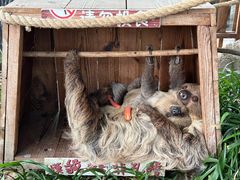 -乐和乐都主题乐园