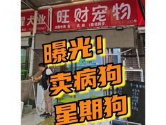-中环花鸟鱼虫市场