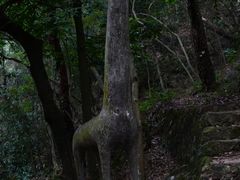 -飞霞风景名胜区