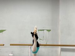 -舞蕾舞蹈(特长生校区)