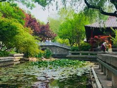 -济南大明湖景区