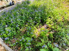 -白塘生态植物园