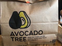 -油梨树 AVOCADO TREE(亮马桥店)