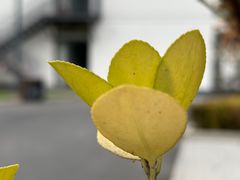 -周口店北京人遗址公园