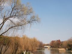 -顾村公园