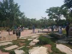 -大港湿地公园